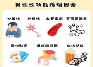 單效與雙效男性健康產品對比示意圖